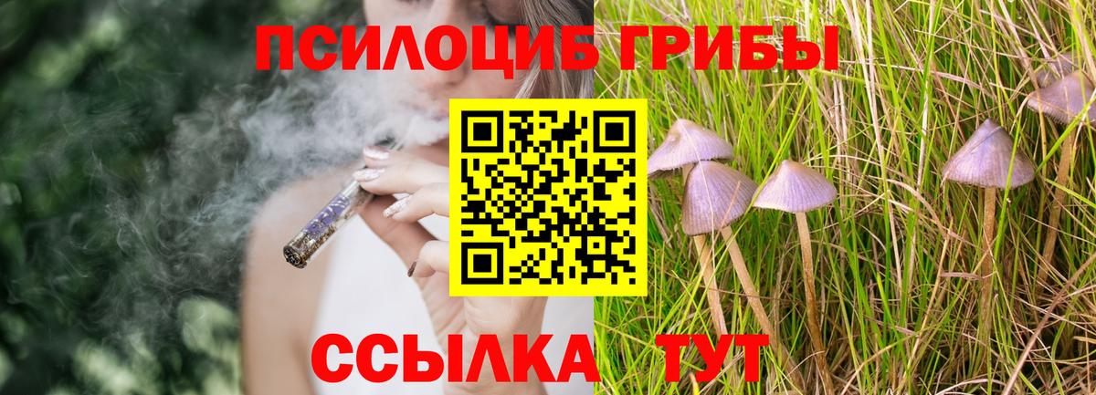 Галлюциногенные грибы Cubensis Урай